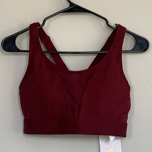 Fabletics Maroon Sports Bra